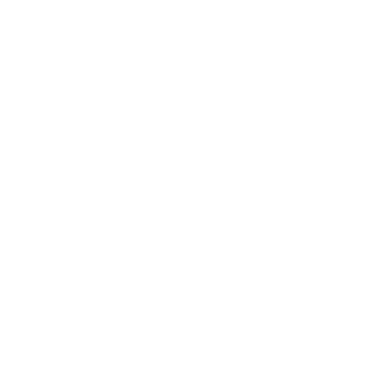 LOGIBOSS